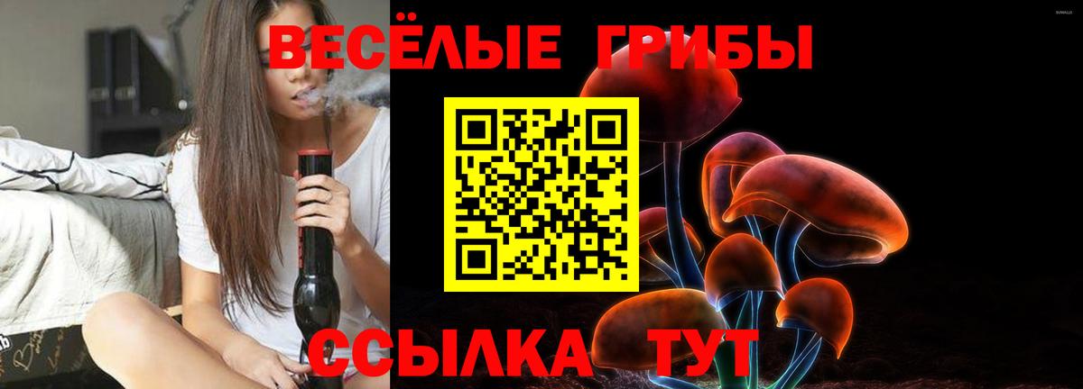 Псилоцибиновые грибы Psilocybe  Вход с VPN  Галлюциногенные грибы GOLDEN TEACHER  Надым 